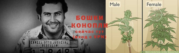 сатива Баксан