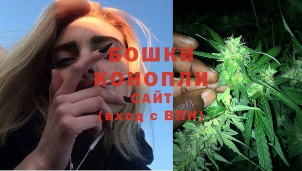 сатива Баксан