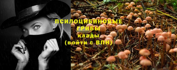 бошки Балахна