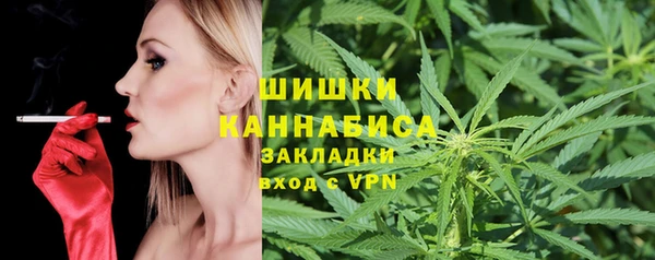 сатива Баксан