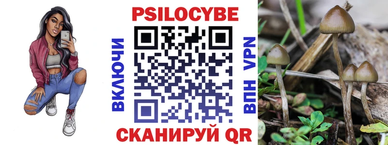 Галлюциногенные грибы прущие грибы  дарнет шоп  мориарти состав  Спас-Деменск 